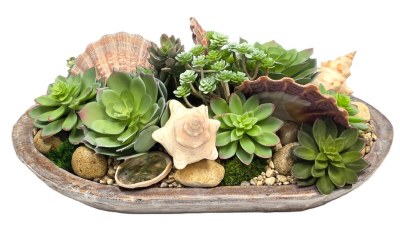 20" Faux Green Succulents With Shells in Whitewash Brown Oval Dough Bowl
