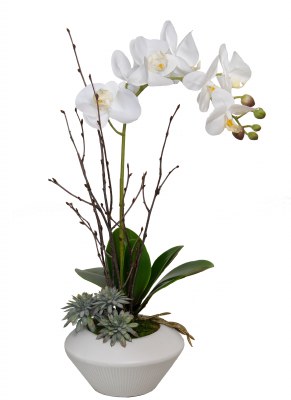 20" Faux White Orchid and a Blue Succlent in a White Pot