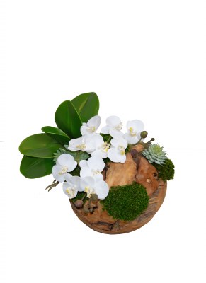 12" Faux White Orchids and Succulents Wood Ball