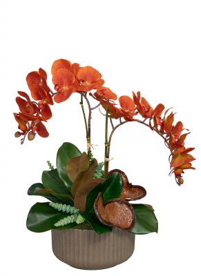 22" Faux Orange Orchids and Succulents in a Tan Bowl