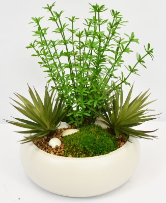 16" Faux Green Succulents and Seashells in a White Ceramic Bowl