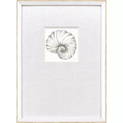 21" x 15" Neutral Nautilus Shell Coastal Framed Print Under Glass