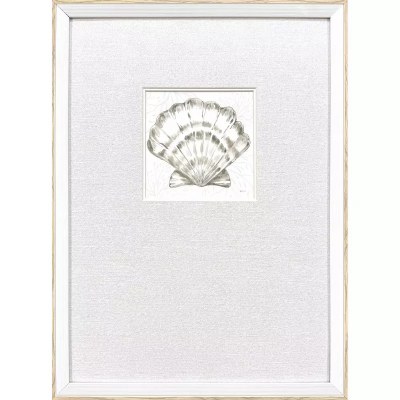 21" x 15" Neutral Scallop Shell Coastal Framed Print Under Glass