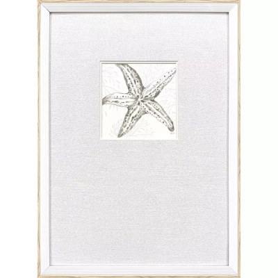 21" x 15" Neutral Starfish Coastal Framed Print Under Glass