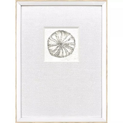 21" x 15" Neutral Sea Urchin Coastal Framed Print Under Glass