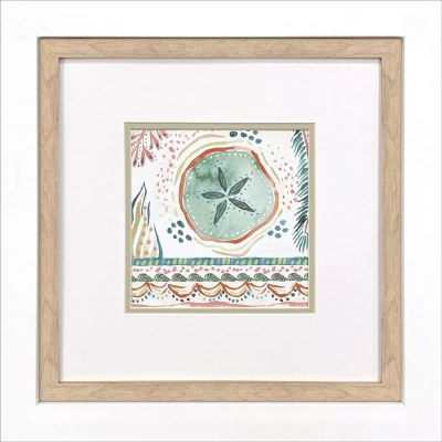 18" Sq Multicolor Sand Dollar Coastal Framed Print Under Glass