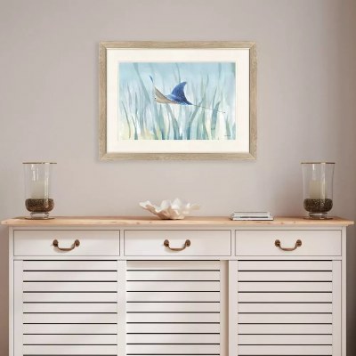 27" x 36" Under the Sea Ray Coastal Framed Print Under Glass