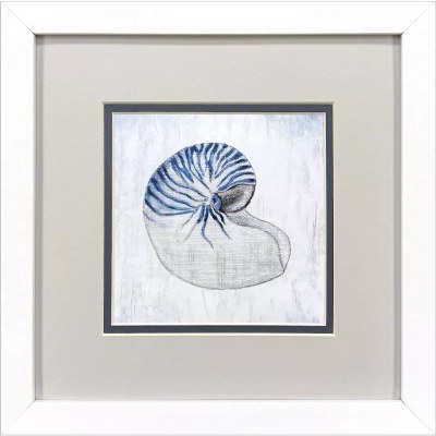 11" Sq Blue Nautilus Shell Coastal Framed Print Under Glass