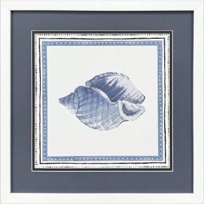 17" Sq Blue Conch Shell Coastal Framed Print Under Glass