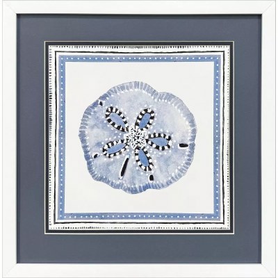 17" Sq Blue Sand Dollar Coastal Framed Print Under Glass