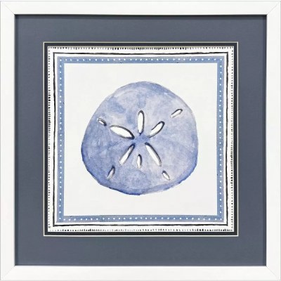 17" Sq Blue Sand Dollar Coastal Framed Print Under Glass