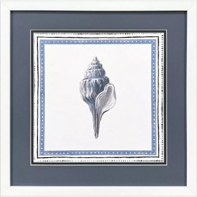 17" Sq Blue Seashell Coastal Framed Print Under Glass