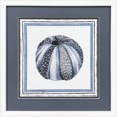 17" Sq Blue Sea Urchin Coastal Framed Print Under Glass