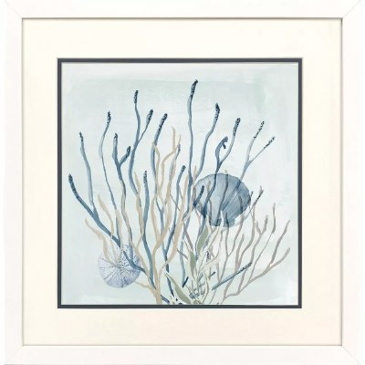 17" Sq One Blue Seashell Coastal Framed Print Under Glass