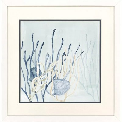 17" Sq Two Blue Seashells Coastal Framed Print Under Glass