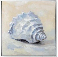 20" Sq Seashell Facing Downwards Framed Coastal Canvas