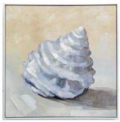 20" Sq Seashell Facing Upwards Framed Coastal Canvas