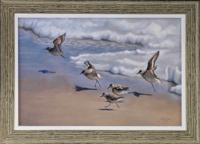 26" x 46" Sandpipers on the Beach Gel Textured Coastal Print in a Dark Green Frame