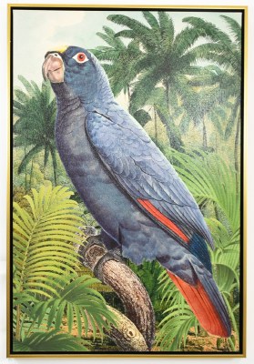 37" x 25" Jungle Parrot 2 Tropical Canvas in a Gold Frame