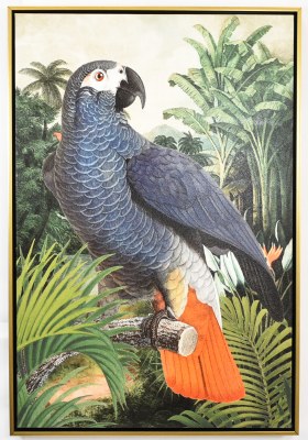 37" x 25" Jungle Parrot 1 Tropical Canvas in a Gold Frame