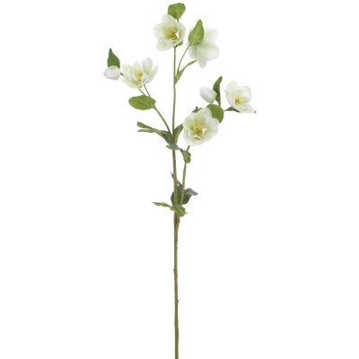 31" Faux Cream and Green Helleborus Flower Spray
