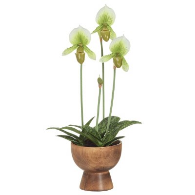 20" Faux Cream and Green Lady's Slipper Orchid in Wood Vase