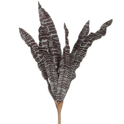 15" Faux Burgundy and Brown Earth Star Bromeliad