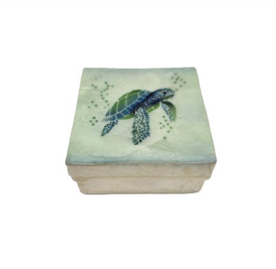 3" Sq Capiz Green Turtle Box
