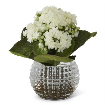7.5" Faux White Kalanchoe In Textured Glass Vase