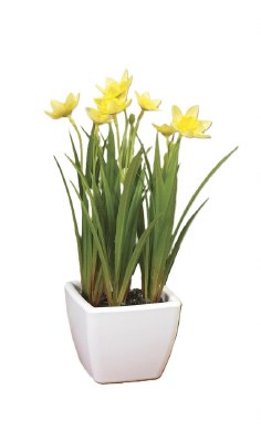 9" Faux Daffodil in a White Pot