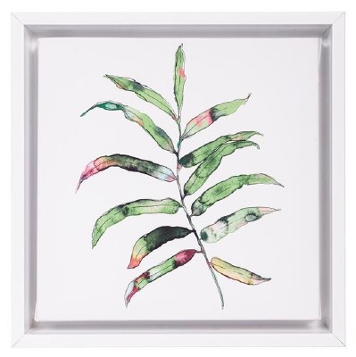8" Sq Areca Framed Canvas