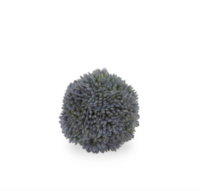 2" Dark Blue Sedum Orb