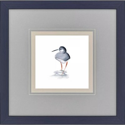 18" Sq Backside Shorebird Framed Coastal Print