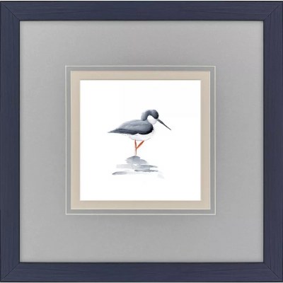 18" Sq "V" Leg Shorebird Framed Coastal Print