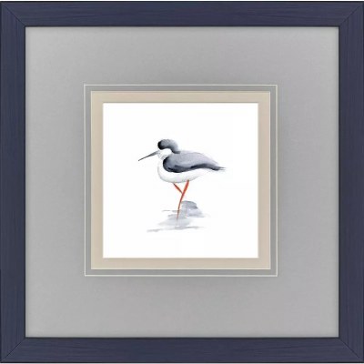 18" Sq "Y" Leg Shorebird Framed Coastal Print