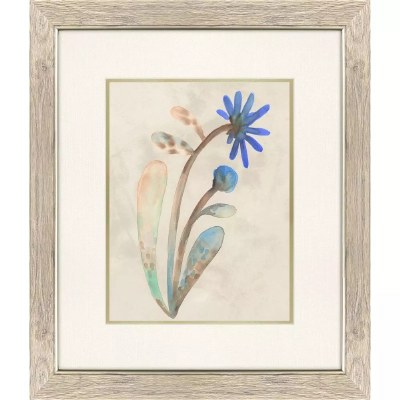 23" x 20" Big Bud Blue Flower Framed Print