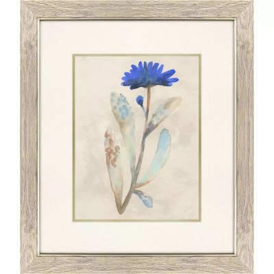 23" x 20" Small Bud Blue Flower Framed Print