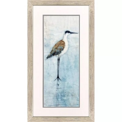 35" x 19" Head Level Seabird Framed Coastal Print