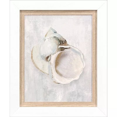18" x 15" Beige Turbo Shell Framed Coastal Print