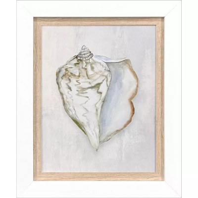 18" x 15" Beige Whelk Framed Print
