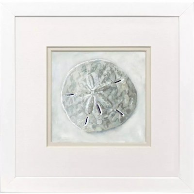 11" Sq Sand Dollar Framed Print