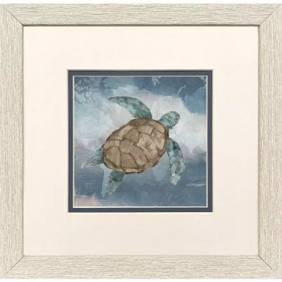 11" Sq No Eye Turtle Framed Print