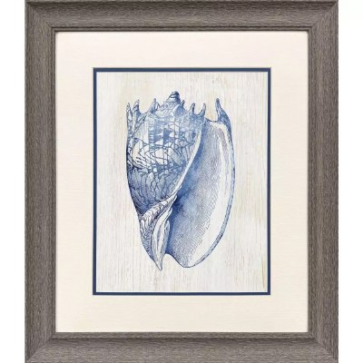 22" x 19" Blue Spike Shell Framed Print