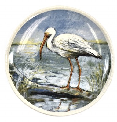6" Ibis Plate