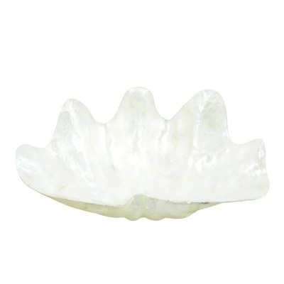 7.5 White Capiz Clam Bowl