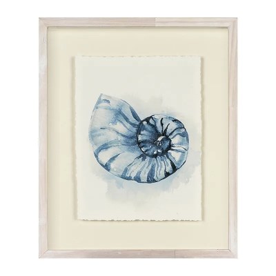 19.5" x 16" Blue Nautilus Framed Print