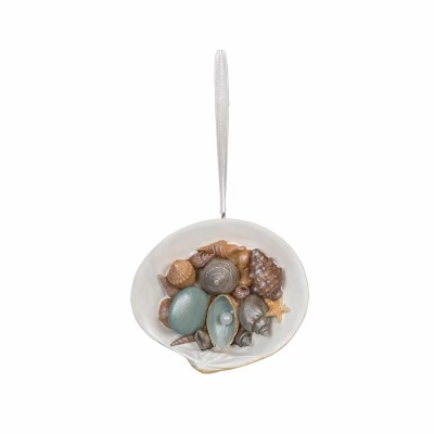 3.7" Multi Color Shells In Shell Polyresin Ornament