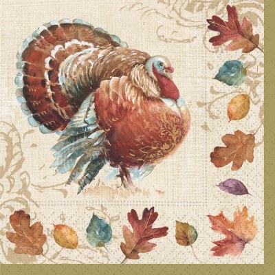 5" Sq Rustic Turkey Beverage Napkins