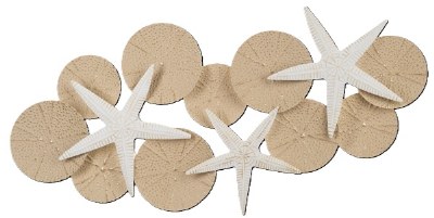 20" x 44" Beige and White Starfish and Sand Dollar Coastal Metal Wall Art Plaque