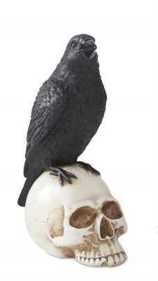 8" Forward Head Crow on Skull
